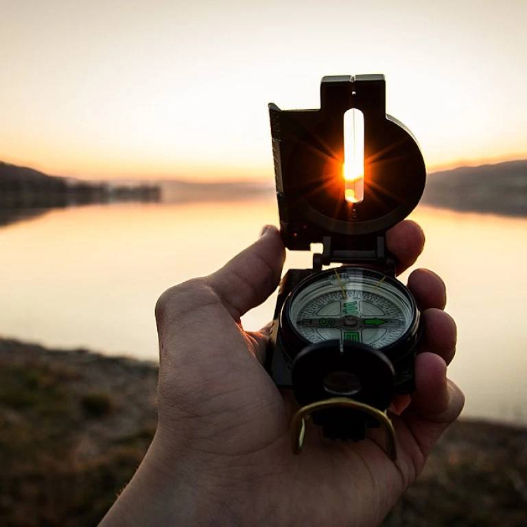 Navigating the Role of a Chief Management Officer in Strategic Leadership
