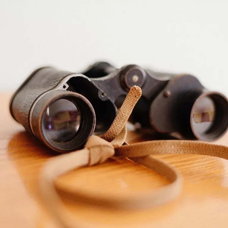 Balancing demand planning and supply planning: strategic insights for CEOs