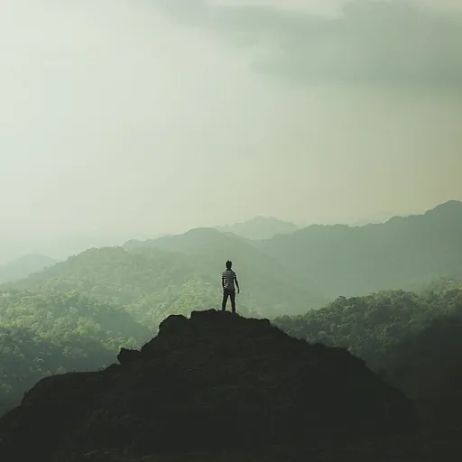 Choosing the right strategic planning platform: pigment vs anaplan for CEOs